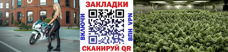 Магазины продажи наркотиков Обоянь ГАШИШ  МАРИХУАНА  Меф 