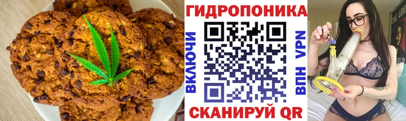 мориарти какой сайт  Обоянь  Canna-Cookies марихуана 