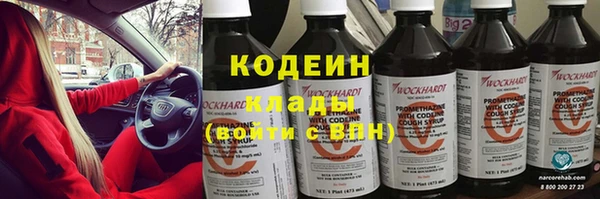 хмурый Нея